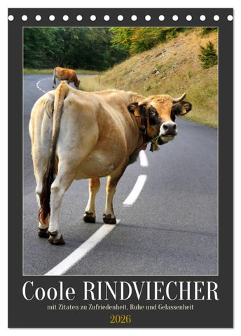 Coole Rindviecher (Tischkalender 2026 DIN A5 hoch), CALVENDO Monatskalender