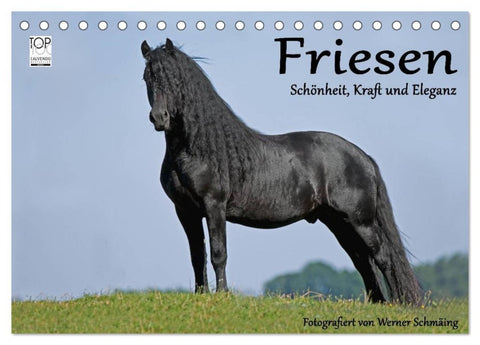 Friesen - Schönheit, Kraft und Eleganz (Tischkalender 2026 DIN A5 quer), CALVENDO Monatskalender