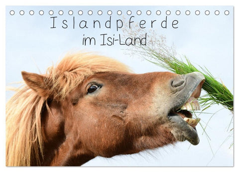 Islandpferde im Isi-Land (Tischkalender 2027 DIN A5 quer), CALVENDO Monatskalender