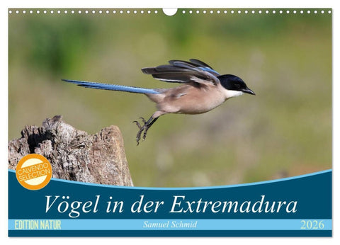 Vögel in der Extremadura (Wandkalender 2026 DIN A3 quer), CALVENDO Monatskalender