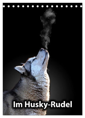 Im Husky-Rudel (Tischkalender 2027 DIN A5 hoch), CALVENDO Monatskalender