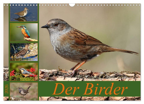 Der Birder (Wandkalender 2026 DIN A3 quer), CALVENDO Monatskalender