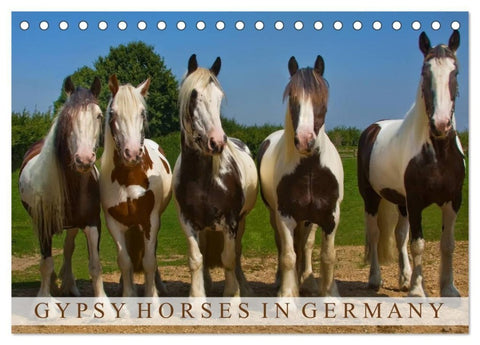 Gypsy Horses (Tischkalender 2027 DIN A5 quer), CALVENDO Monatskalender