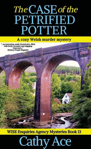The Case of the Petrified Potter