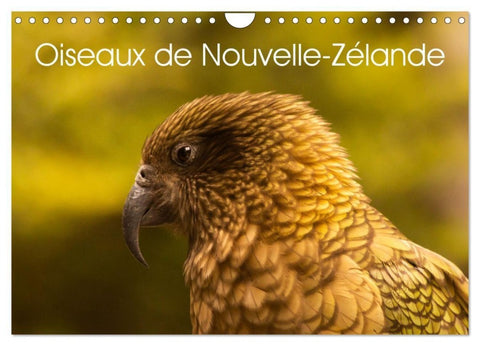 Oiseaux de Nouvelle-Zélande (Calendrier mural 2027 DIN A4 vertical), CALVENDO calendrier mensuel