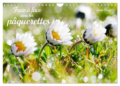 Face à face avec les pâquerettes (Calendrier mural 2026 DIN A4 vertical), CALVENDO calendrier mensuel