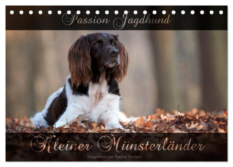 Passion Jagdhund - Kleiner Münsterländer (Tischkalender 2026 DIN A5 quer), CALVENDO Monatskalender