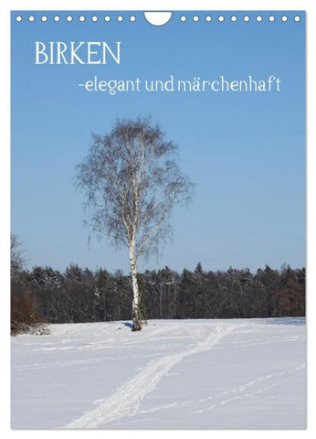 Birken - elegant und märchenhaft (Wandkalender 2027 DIN A4 hoch), CALVENDO Monatskalender