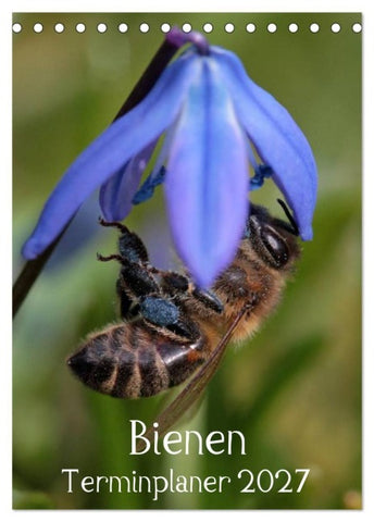 Bienen-Terminplaner 2027 (Tischkalender 2027 DIN A5 hoch), CALVENDO Monatskalender