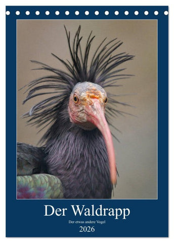 Der Waldrapp - Der etwas andere Vogel (Tischkalender 2026 DIN A5 hoch), CALVENDO Monatskalender