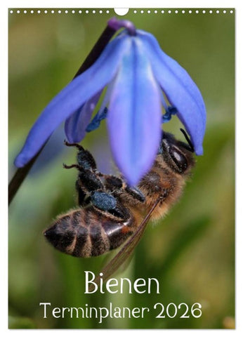 Bienen-Terminplaner 2026 (Wandkalender 2026 DIN A3 hoch), CALVENDO Monatskalender