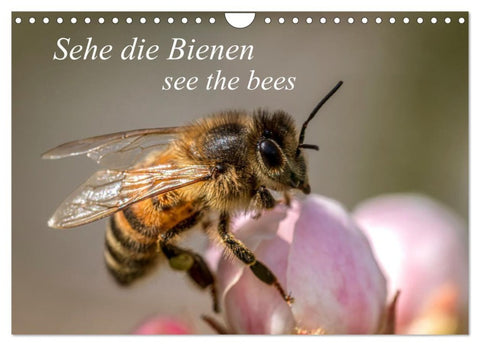 Sehe die Bienen (Wandkalender 2027 DIN A4 quer), CALVENDO Monatskalender