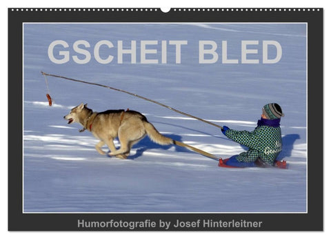 GSCHEIT BLED - Humorfotografie (Wandkalender 2027 DIN A2 quer), CALVENDO Monatskalender