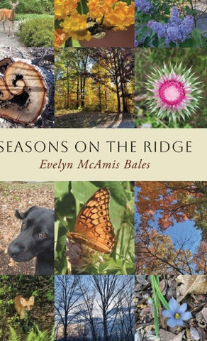 Seasons on the Ridge