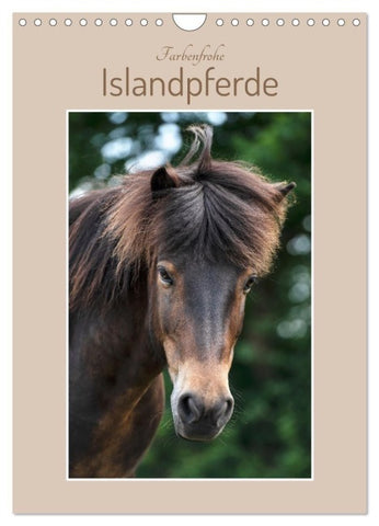 Farbenfrohe Islandpferde (Wandkalender 2027 DIN A4 hoch), CALVENDO Monatskalender