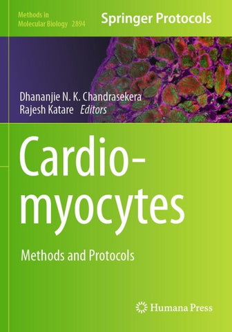Cardiomyocytes