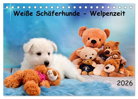 Weiße Schäferhunde - Welpenzeit (Tischkalender 2026 DIN A5 quer), CALVENDO Monatskalender
