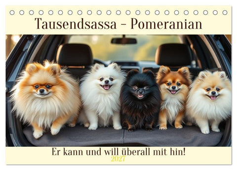 Tausendsassa - Pomeranian (Tischkalender 2027 DIN A5 quer), CALVENDO Monatskalender