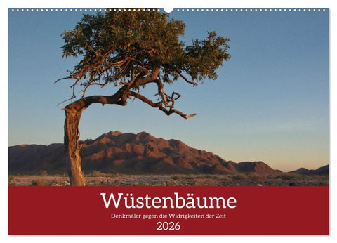 Wüstenbäume (Wandkalender 2026 DIN A2 quer), CALVENDO Monatskalender