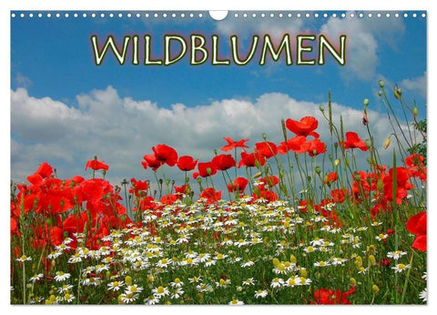 Wildblumen 2027 (Wandkalender 2027 DIN A3 quer), CALVENDO Monatskalender