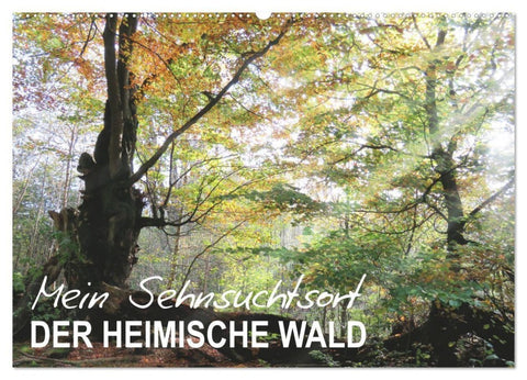 Mein Sehnsuchtsort, der heimische Wald (Wandkalender 2027 DIN A2 quer), CALVENDO Monatskalender