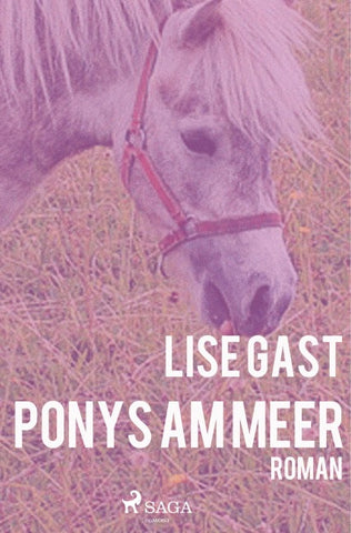 Ponys am Meer