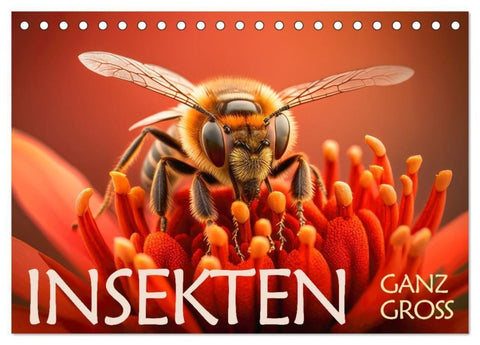 Insekten ganz gross (Tischkalender 2027 DIN A5 quer), CALVENDO Monatskalender