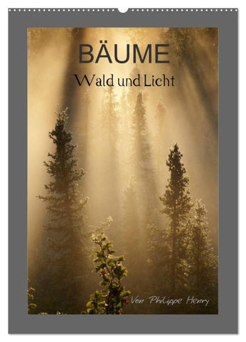 BÄUME (Wandkalender 2027 DIN A2 hoch), CALVENDO Monatskalender