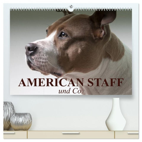 American Staff und Co. (hochwertiger Premium Wandkalender 2027 DIN A2 quer), Kunstdruck in Hochglanz