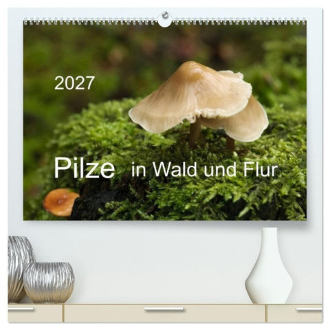 Pilze in Wald und Flur (hochwertiger Premium Wandkalender 2027 DIN A2 quer), Kunstdruck in Hochglanz