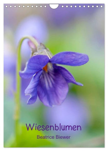 Wiesenblumen (Wandkalender 2027 DIN A4 hoch), CALVENDO Monatskalender