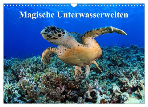 Magische Unterwasserwelten (Wandkalender 2027 DIN A3 quer), CALVENDO Monatskalender