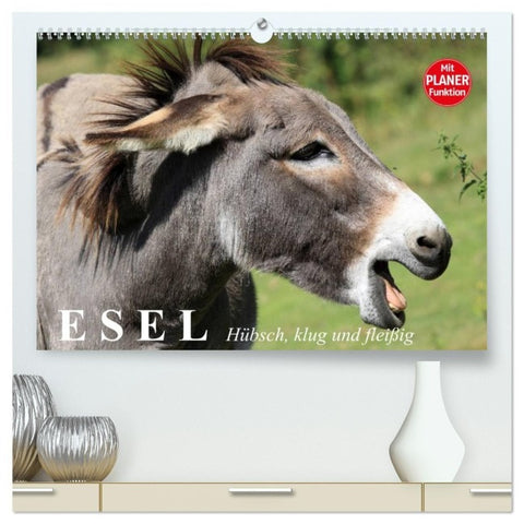 Esel. Hübsch, klug und fleißig (hochwertiger Premium Wandkalender 2027 DIN A2 quer), Kunstdruck in Hochglanz