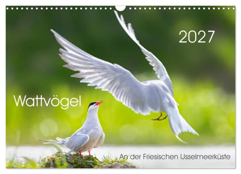 Wattvögel an der Friesischen IJsselmeerküste (Wandkalender 2027 DIN A3 quer), CALVENDO Monatskalender