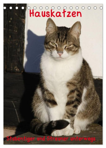 Hauskatzen (Tischkalender 2026 DIN A5 hoch), CALVENDO Monatskalender