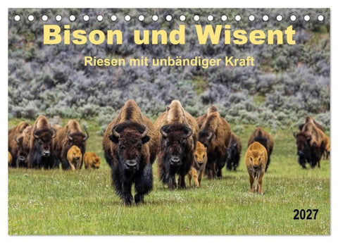 Bison und Wisent - Riesen mit unbändiger Kraft (Tischkalender 2027 DIN A5 quer), CALVENDO Monatskalender