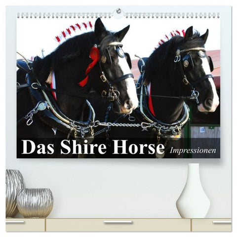 Das Shire Horse. Impressionen (hochwertiger Premium Wandkalender 2026 DIN A2 quer), Kunstdruck in Hochglanz