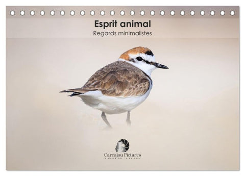 Esprit animal - Regards minimalistes (Calendrier de bureau 2027 DIN A5 vertical), CALVENDO calendrier mensuel