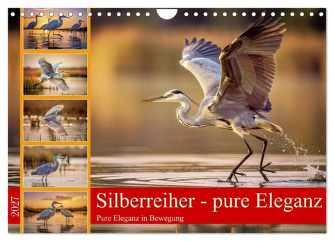 Silberreiher - pure Eleganz (Wandkalender 2027 DIN A4 quer), CALVENDO Monatskalender