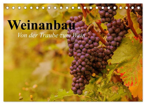 Weinanbau. Von der Traube zum Wein (Tischkalender 2027 DIN A5 quer), CALVENDO Monatskalender