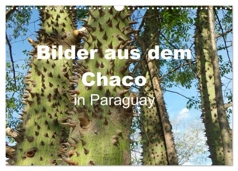 Bilder aus dem Chaco in Paraguay (Wandkalender 2026 DIN A3 quer), CALVENDO Monatskalender