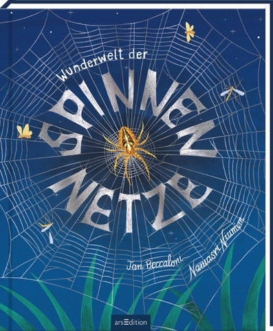 Wunderwelt der Spinnennetze