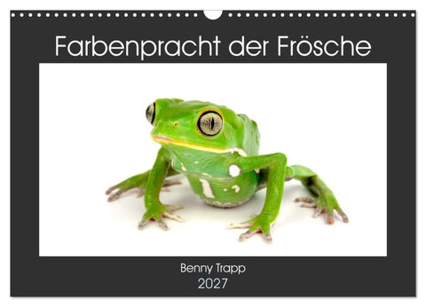 Farbenpracht der Frösche (Wandkalender 2027 DIN A3 quer), CALVENDO Monatskalender