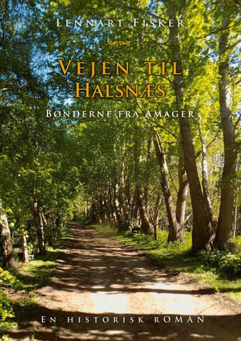 Vejen til Halsnæs