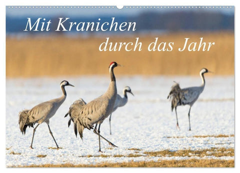 Mit Kranichen durch das Jahr (Wandkalender 2027 DIN A2 quer), CALVENDO Monatskalender