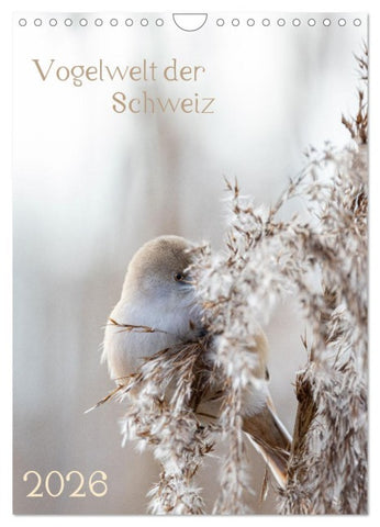 Vogelwelt der Schweiz (Wandkalender 2026 DIN A4 hoch), CALVENDO Monatskalender