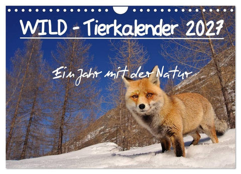 WILD - Tierkalender 2027 (Wandkalender 2027 DIN A4 quer), CALVENDO Monatskalender