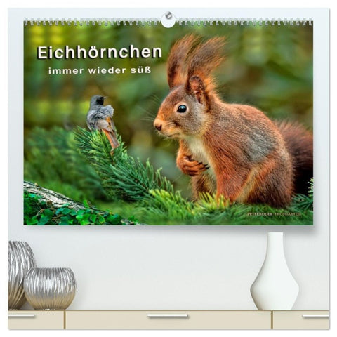 Eichhörnchen - immer wieder süß (hochwertiger Premium Wandkalender 2027 DIN A2 quer), Kunstdruck in Hochglanz