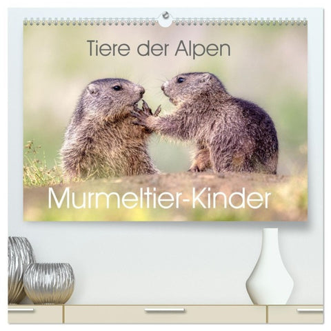 Tiere der Alpen - Murmeltier-Kinder (hochwertiger Premium Wandkalender 2027 DIN A2 quer), Kunstdruck in Hochglanz