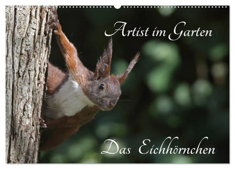 Artist im Garten. Das Eichhörnchen (Wandkalender 2027 DIN A2 quer), CALVENDO Monatskalender